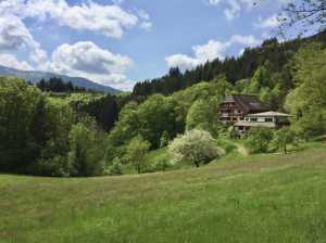 BE WITH ⎮ Ausbildung ABOVE therapeuten.de